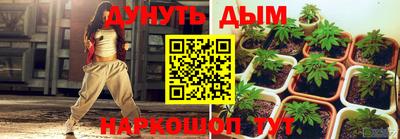 дмт Моздок