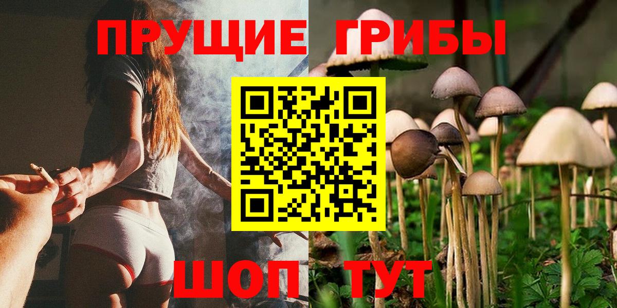 Фрязино  Псилоцибиновые грибы Magic Shrooms  Псилоцибиновые грибы прущие грибы  Вход с VPN 